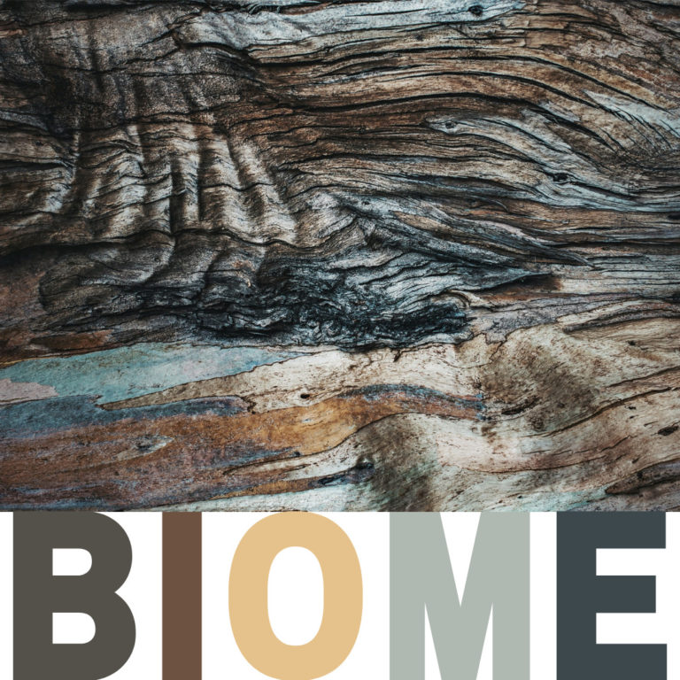 binome color for interior design